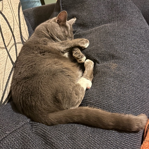 Welcome to my Closet 🛍️ - Picture 4 of 5